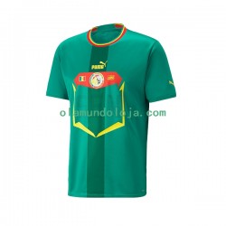 Camisola Senegal Homem Equipamento Segundo Copa do Mundo 2022 Manga Curta